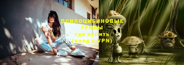 прущая мука Касимов