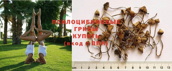 гидропоника Карпинск